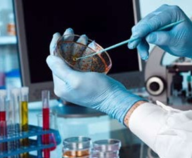 O reprocessamento de DMs como meio de controlo de infecção microbiológica